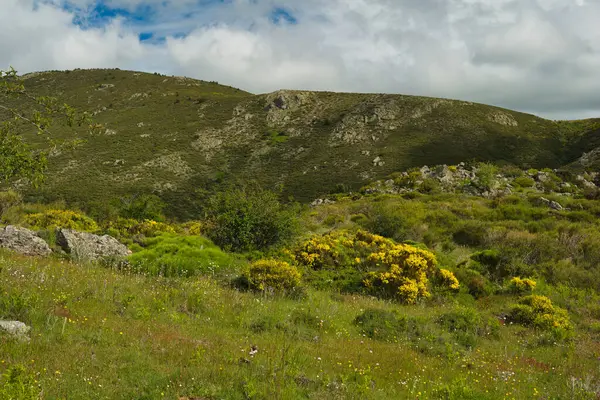 Bahar dağı manzarası güneşli bir günde Madrid yakınlarındaki Sierra de Guadarrama dağlarında.