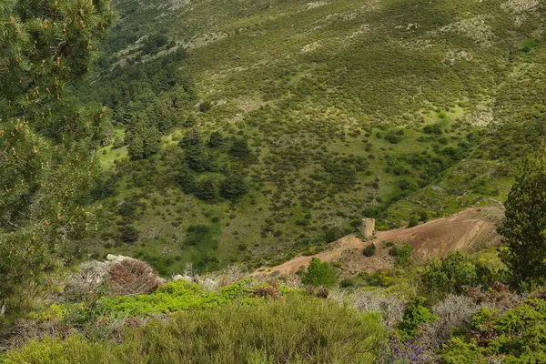 Bahar dağı manzarası güneşli bir günde Madrid yakınlarındaki Sierra de Guadarrama dağlarında.