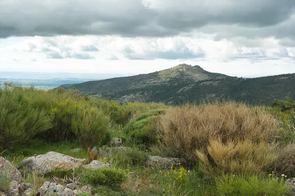 Bahar dağı manzarası güneşli bir günde Madrid yakınlarındaki Sierra de Guadarrama dağlarında.