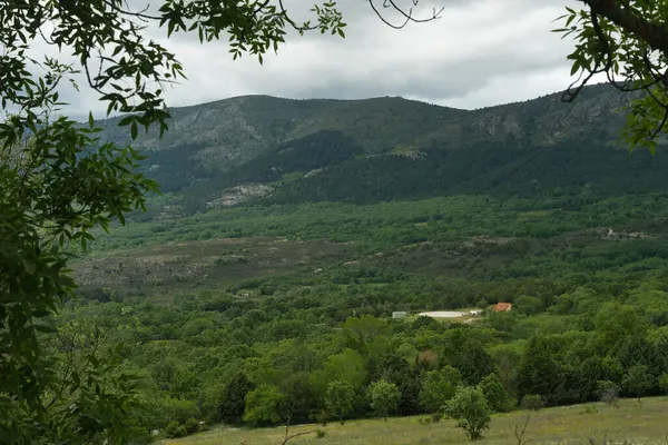 Bahar dağı manzarası güneşli bir günde Madrid yakınlarındaki Sierra de Guadarrama dağlarında.