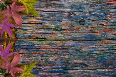 ...Pastel renklerde ve güzel desenli sonbahar bitkisi arkaplanı