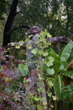 Madrid İspanya 'da sonbaharda yağmur sırasında park yeri