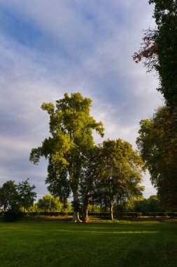 İspanya 'nın Aranjuez şehrinde sonbaharda parkın manzarası