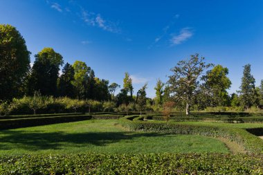 İspanya 'nın Aranjuez kentindeki Palace Park' ta sonbaharda sabah