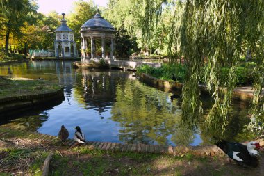 İspanya 'nın Aranjuez kentindeki Palace Park' ta sonbaharda sabah