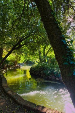 İspanya 'nın Aranjuez kentindeki Palace Park' ta sonbaharda sabah