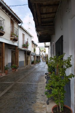 İspanya 'nın Guadalupe kasabasındaki bir cadde manzarası, tarihi binalar.