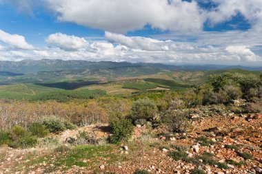 Güneşli bir günde İspanya 'nın Extremadura eyaletindeki dağların manzara görüntüsü