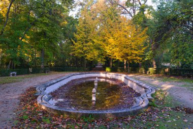 Sonbahar sabahı aranjuez İspanya 'daki prensin parkının manzarası.