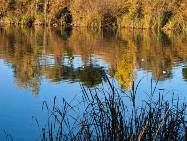 İspanya 'da sonbaharda sabah parkın manzarası