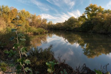 Madrid yakınlarındaki İspanya 'daki doğal parkın manzarası.
