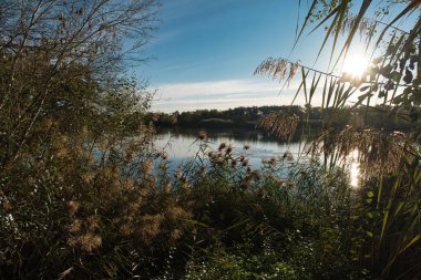 Madrid yakınlarındaki İspanya 'daki doğal parkın manzarası.