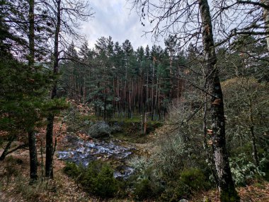 Sonbahar nehri sabah Madrid yakınlarındaki dağlarda akıyor.