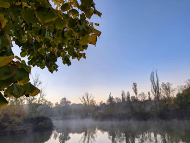 İspanya 'da sonbaharda sabah parkın manzara manzarası