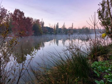 İspanya 'da sonbaharda sabah parkın manzara manzarası