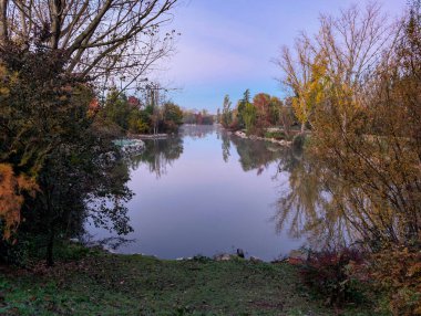 İspanya 'da sonbaharda sabah parkın manzara manzarası