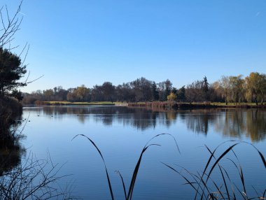 Madrid yakınlarındaki bir golf sahasındaki göl manzarası.
