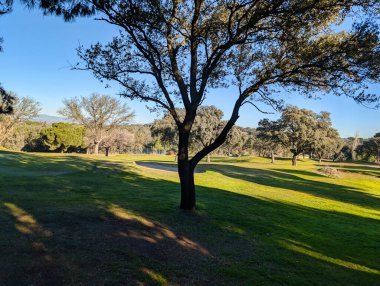 Madrid yakınlarında güneşli bir günde golf sahasının manzarası