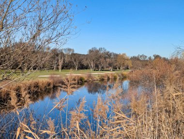 Madrid yakınlarındaki bir golf sahasındaki göl manzarası.