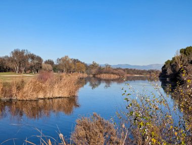 Madrid yakınlarındaki bir golf sahasındaki göl manzarası.
