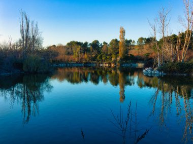 Madrid yakınlarındaki şehir parkının manzarası.