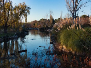 Madrid yakınlarındaki şehir parkının manzarası.