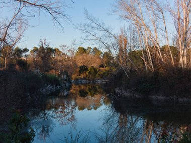 Madrid yakınlarındaki şehir parkının manzarası.