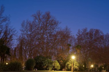 Madrid 'deki bir şehir parkında eski bir Mısır tarzı bina.