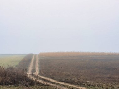Sabahları tarlaların manzarası