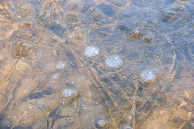 Donmuş bir buz tabakasının göldeki yakın çekimi.
