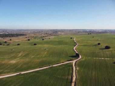 ...Kışın İspanya 'daki tarlaların drone görüntüsü