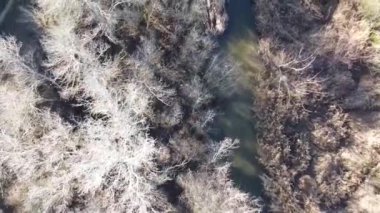 Kırsal alan güneşli bir günde insansız hava aracıyla çekiliyor.