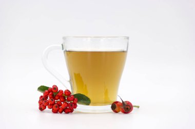 Arka planda izole edilmiş bir bardak çay.