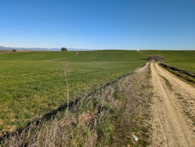 Baharda güneşli bir günde İspanya 'da yol manzaralı