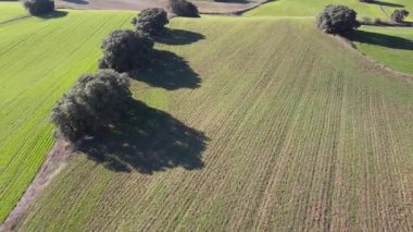 İspanya 'daki tarlaların peyzaj drone görüntüsü