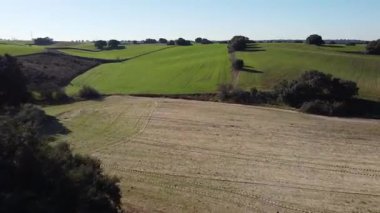 İspanya 'daki tarlaların peyzaj drone görüntüsü