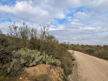 Bulutlu bir günde İspanyol dağlarında toprak bir yol