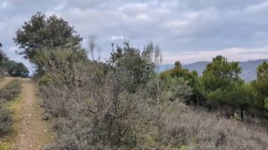 İspanya 'da sabahları dağların manzarası