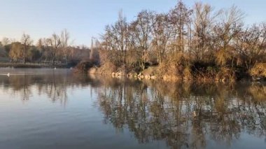 İspanya 'da sabah şehir parkının kışın manzarası