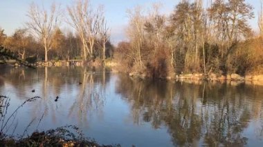 İspanya 'da sabah şehir parkının kışın manzarası