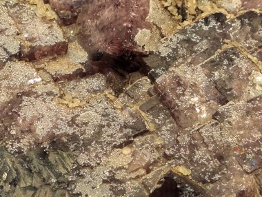 Mineral bloğu güzel renklere sahip bir arkaplan