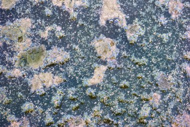 Arka plan olarak su birikintisindeki kabarcıkların yakın plan görüntüsü