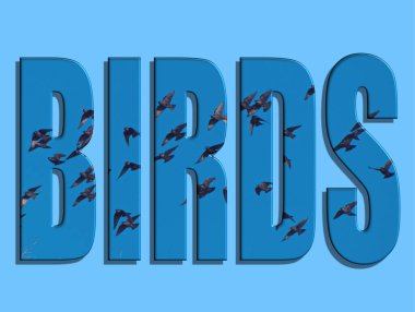 Bir kuş sürüsü zarif bir şekilde açık mavi gökyüzünde süzülür, havayı hareket ve yaşamla doldurur. Güneş parıldıyor, renklerini ve desenlerini güzel çiziyor..