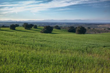 Bereketli yeşil tarlalar, ağaçlarla kaplı yuvarlanan tepeler boyunca uzanırken açık mavi gökyüzü, öğleden sonra aydınlığında uzak dağlara karşı çarpıcı bir zemin sağlar..