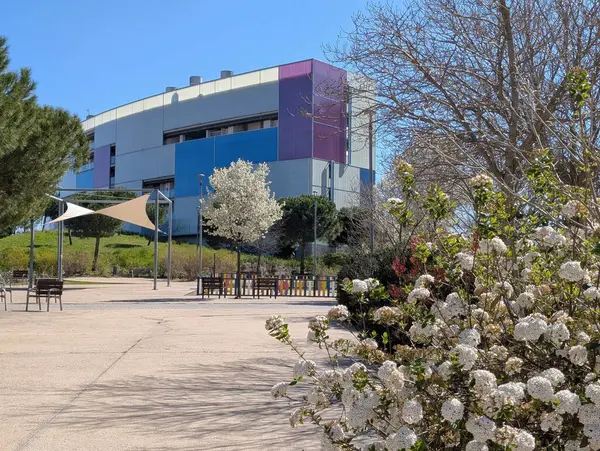 Huzurlu bir parktaki canlı çiçeklerin arasında modern bir mimari yapı duruyor. Açık mavi gökyüzü ve gün ışığı bu sakin dış mekanın güzelliğini arttırır..