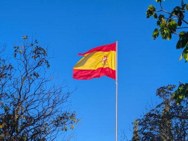 İspanyol bayrağı, açık mavi bir gökyüzü altında çıplak dallar ve canlı yapraklarla çevrili iken rüzgarda gururla dalgalanıyor. Sakin bir ortamda açık, güneşli bir gün..