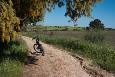 Canlı otlar ve kır çiçekleriyle kaplı toprak bir patikada bir bisiklet ağaca yaslanır. Sahne güneşli bir gökyüzünün altında yuvarlanan tepelerle sakin bir kırsal alanda geçiyor..