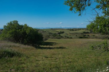 Bereketli yeşil tepeler açık mavi bir gökyüzünün altında arazi boyunca uzanıyor. Bir ağaç kümesi doğal manzaraya derinlik katar. Bu barışçıl kırsal bölge huzur ve keşfe davet ediyor..