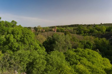 Yoğun ağaçlar ve çalılarla dolu canlı yeşil bir manzaranın geniş bir görüntüsü, öğleden sonra geç saatlerde açık bir gökyüzünün altında birkaç ev görülebilir..