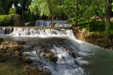 Ağaçlar ve canlı yapraklarla çevrili huzurlu bir parktaki kayalık oluşumların üzerinde kristal berrak su birikintileri ziyaretçiler için sakin bir atmosfer yaratıyor..